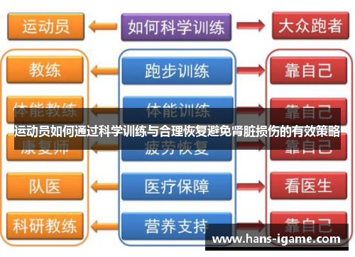 运动员如何通过科学训练与合理恢复避免肾脏损伤的有效策略