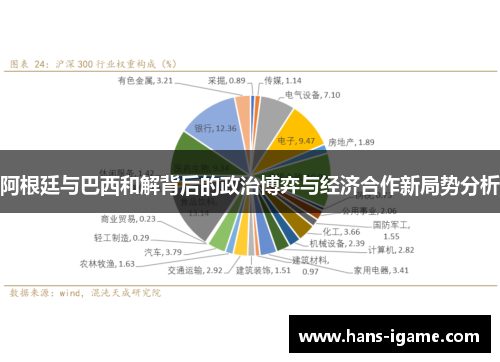阿根廷与巴西和解背后的政治博弈与经济合作新局势分析