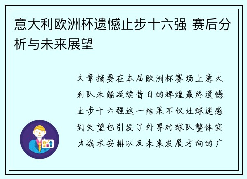 意大利欧洲杯遗憾止步十六强 赛后分析与未来展望